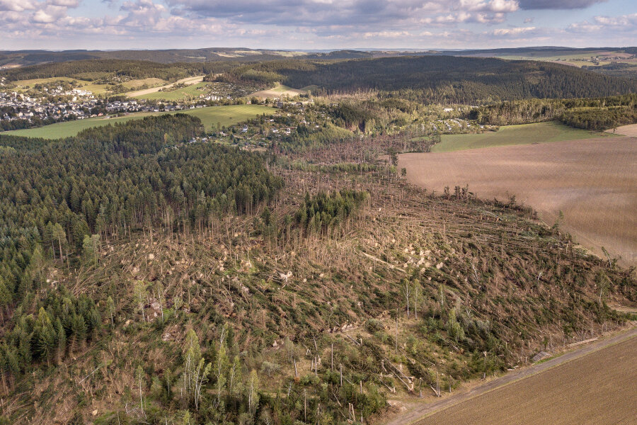 Unwetter vernichtet in Brünlos rund 20 Hektar Wald - 