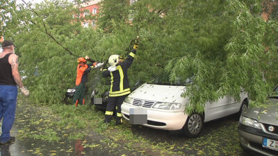 Ein Baum ist am Dienstag nach einem schweren Unwetter umgestürzt und hat mehrere Autos unter sich begraben.