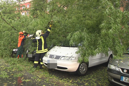 Ein Baum ist am Dienstag nach einem schweren Unwetter umgestürzt und hat mehrere Autos unter sich begraben.