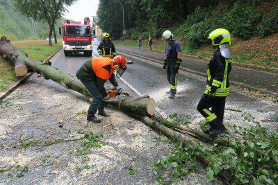 Unwetter wütet in der Region: Baum stürzt auf Frauen in Grünhain - Erdrutsch in Markersdorf - Die B 169 in Schneeberg musste für kurze Zeit gesperrt werden, nachdem ein Baum auf die Straße stürzte.