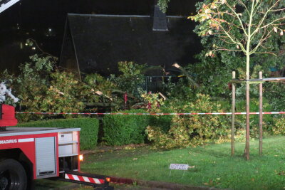 Unwetter zieht über Region - Dächer abgedeckt, Bäume umgestürzt - In Schneeberg drohte ein Baum am Kirchplatz auf ein Wohnhaus zu fallen. Ein großer Ast war schon abgebrochen.