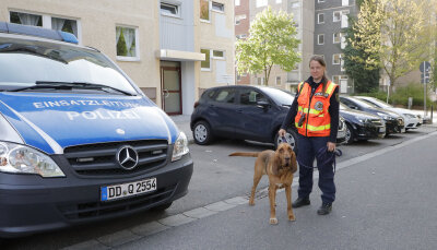 Update: Siebenjähriger Junge aus Chemnitz wieder zu Hause - Suchhund April (Rasse Bloodhound) mit Hundeführerin