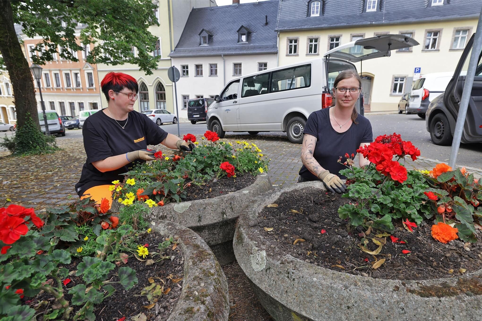 Vandalismus: Sommerbepflanzung in Hohenstein-Ernstthal ausgerissen und ...
