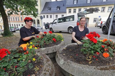 Vandalismus: Sommerbepflanzung in Hohenstein-Ernstthal ausgerissen und zertrampelt - Die Pflanzkübel am Neumarkt sind derzeit kein schöner Anblick. Antje Keller (links) und Kristin Oertel vom Bauhof retten, was zu retten ist.