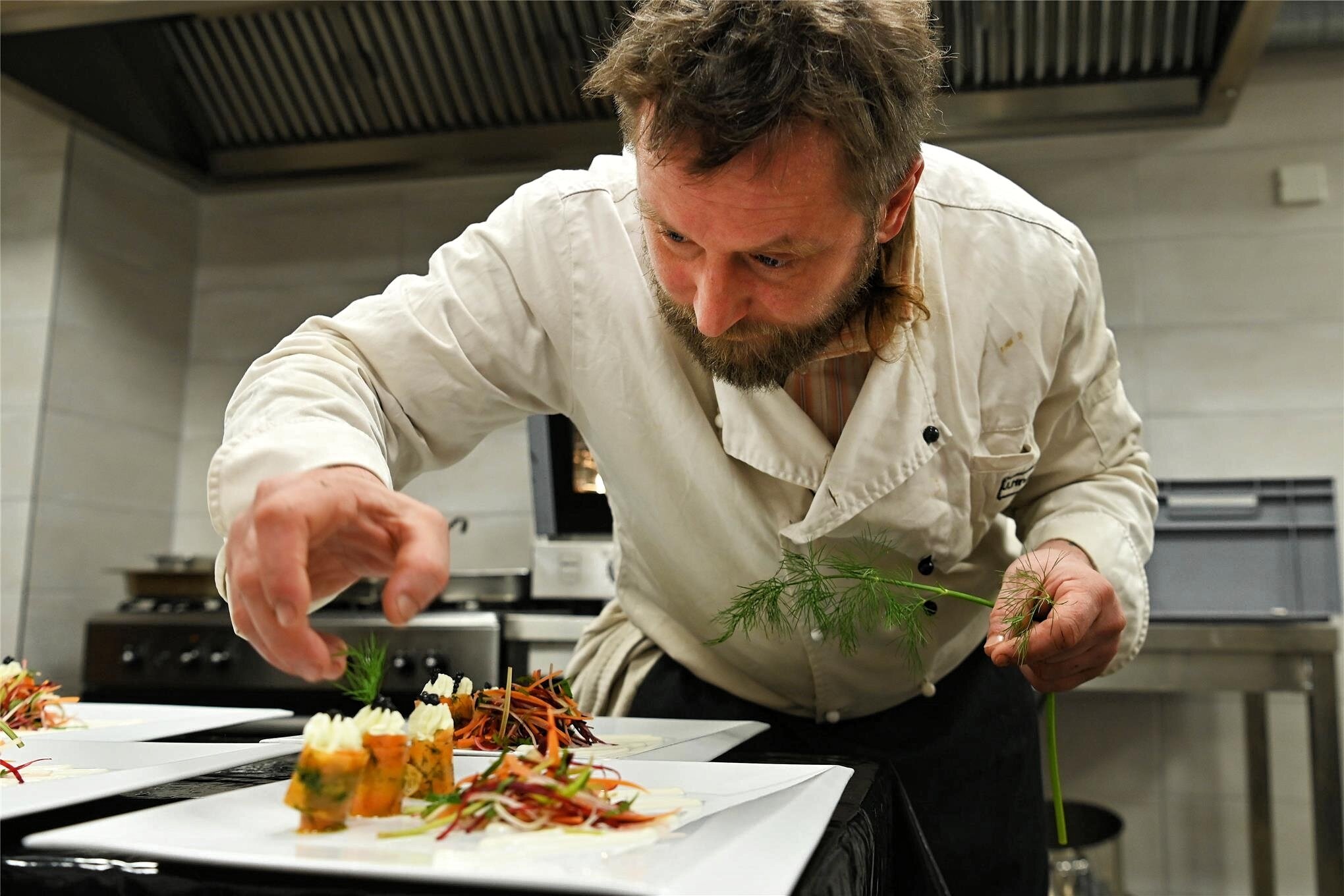 Veganes Essen zu Weihnachten ProfiKoch aus der Nähe von Rochlitz