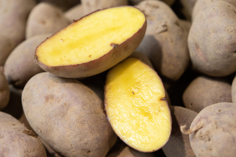 Die Wahl der Kartoffel zur Giftpflanze des Jahres erregt im Vogtland die Gemüter.