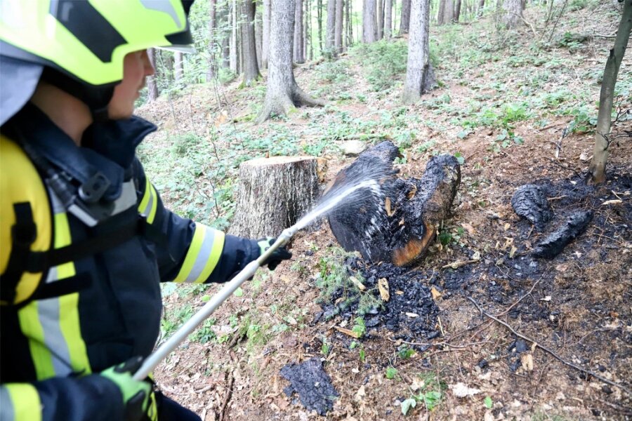 Verdacht auf Brandstiftung: Feuerwehr muss in Schwarzenberger Wald ausrücken - Einsatz im Wald bei Schwarzenberg: Die Feuerwehr konnte den Brand schnell löschen.