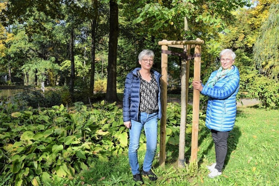 Verein sorgt für Zukunft des Reichenbacher Stadtparks - Heike Albert (rechts) und Ines Reißmann vom Förderverein Parkanlagen Reichenbach schauen sich die Baumspenden im Stadtpark an. 