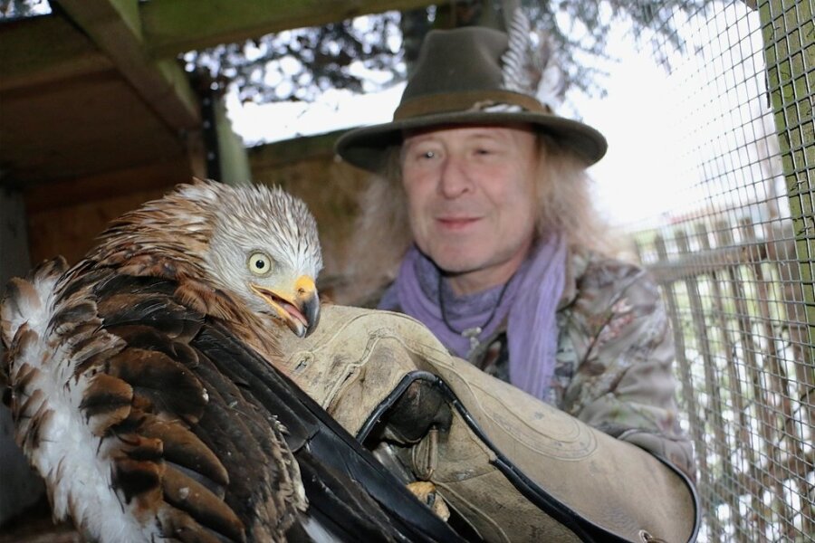 Verein sucht im Vogtland Unterstützer für Greifvögel in Not - Ornithologe Jens Neumeister mit einem Rotmilan, der bei ihm in Pflege ist. Der Falkner bekommt immer wieder verletzte Greifvögel, um ihnen zu helfen. 