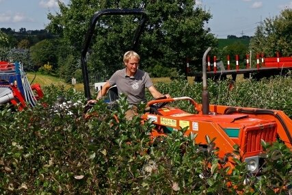 Daniel Pistorius fährt mit Traktor und Erntemaschine durch die Aroniabeeren Plantage in Langenchursdorf.