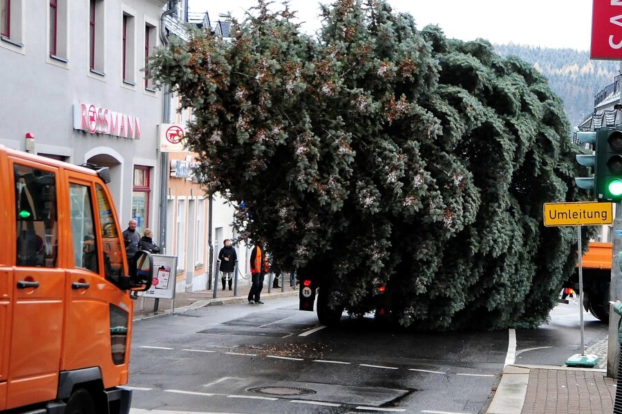 Verkehrsbehinderung in Zschopau: Die Motorradstadt bekommt am Mittwoch ihren Weihnachtsbaum - Diesmal erfolgt der Baumtransport auf der Lange Straße entgegen der Einbahnstraßenregelung.