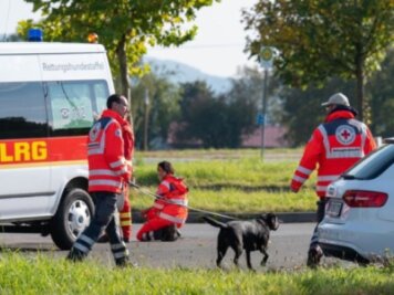 Vermisste Achtjährige im tschechischen Böhmerwald gefunden - Zeitweise waren rund 800 Einsatzkräfte aus Bayern und Tschechien an der Suchaktion beteiligt.