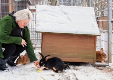 Vernachlässigte Tiere in neuer Obhut - Manuela Kroll beim Füttern von neuen Bewohnern des Tierheims Langenberg. 
