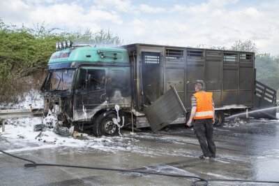 Viehtransporter in Flammen - A72 voll gesperrt - 