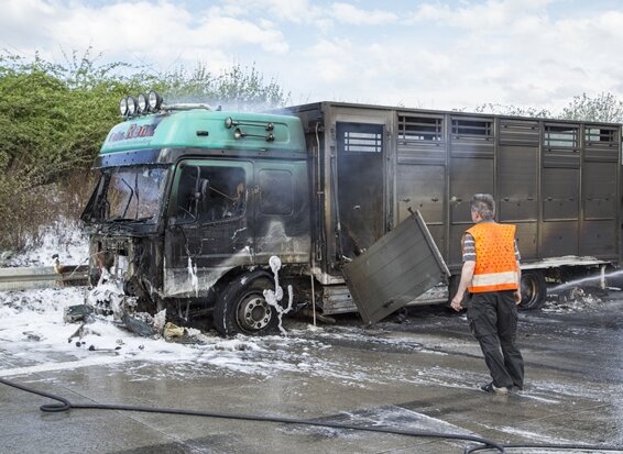 Viehtransporter in Flammen - A72 voll gesperrt - 