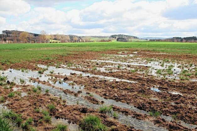Viel Regen in diesem Frühjahr: Was das für die Bauern bedeutet - Wenn das Wasser auf den Feldern steht, wie hier kürzlich in der Nähe von Lengenfeld, ist an eine Bearbeitung nicht zu denken. 