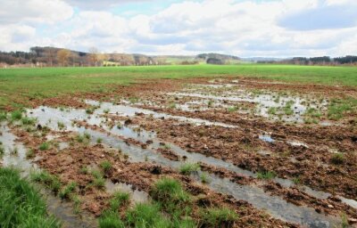 Viel Regen in diesem Frühjahr: Was das für die Bauern bedeutet - Wenn das Wasser auf den Feldern steht, wie hier in der Nähe von Lengenfeld, ist an eine Bearbeitung nicht zu denken. 