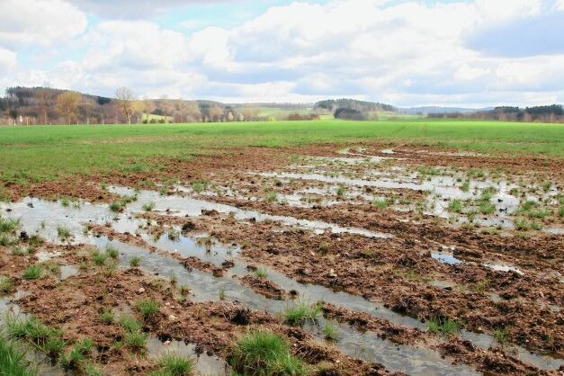 Viel Regen in diesem Frühjahr: Was das für die Bauern bedeutet - Wenn das Wasser auf den Feldern steht, wie hier in der Nähe von Lengenfeld, ist an eine Bearbeitung nicht zu denken. 