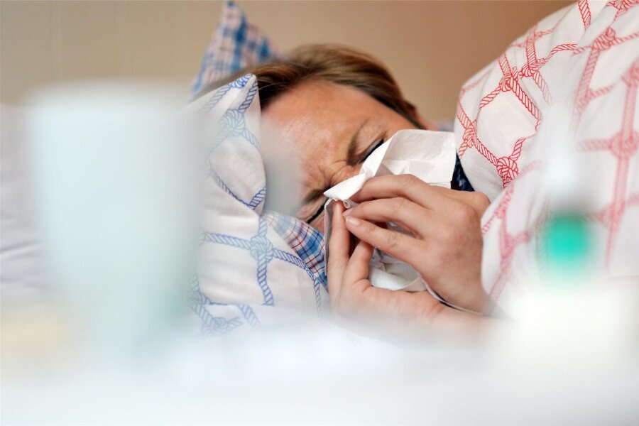 Viele Sachsen sind derzeit von Sommergrippe geplagt - Sommerliche Temperaturen und eine verstopfte Nase – das ist Stress für den Körper.
