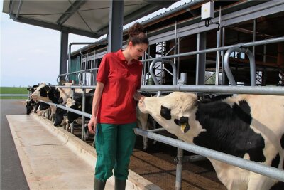 Vier-Sterne-Herberge für junge Kühe im Vogtland ausgezeichnet - Annemarie Flach ist in der Agrargenossenschaft Rotschau für das Jungvieh zuständig. Wie man sieht, mögen die Tiere die junge Frau.