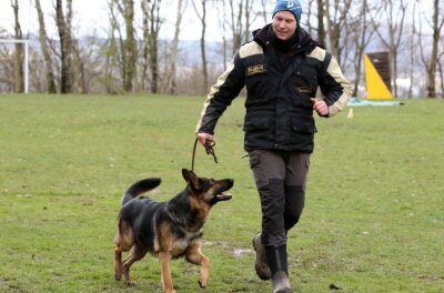 Vierbeiner im intensiven Charaktertest - Peter Kaspereit, Vorstandsmitglied des RSV Lugau, führt seinen zweijährigen Rüden Kuno von Siegerblut auf den Platz. Der Hund machte am Wochenende seinem Namen alle Ehre. 
