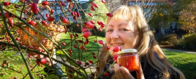 Vitaminbomben vom Wegesrand - Katrin Dechant hat schon die ersten Wildpflanzen im Blick, die Teil des geplanten Wildpflanzenparks werden sollen - hier Hagebuttensträucher bei der Familien- und Erlebniswelt im Zentrum. Aus den Früchten, die sie sammelt, stellt sie Marmeladen, Brotaufstriche und anderes her. 