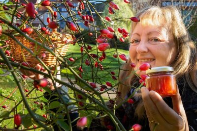 Vitaminbomben vom Wegesrand - Katrin Dechant hat schon die ersten Wildpflanzen im Blick, die Teil des geplanten Wildpflanzenparks werden sollen - hier Hagebuttensträucher bei der Familien- und Erlebniswelt im Zentrum. Aus den Früchten, die sie sammelt, stellt sie Marmeladen, Brotaufstriche und anderes her. 