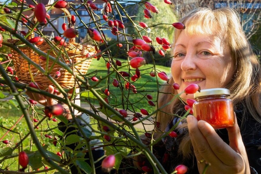 Katrin Dechant hat schon die ersten Wildpflanzen im Blick, die Teil des geplanten Wildpflanzenparks werden sollen - hier Hagebuttensträucher bei der Familien- und Erlebniswelt im Zentrum. Aus den Früchten, die sie sammelt, stellt sie Marmeladen, Brotaufstriche und anderes her. 