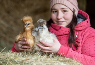 Vogtland-Hühner sind Stars im Internet - Nadine Petukat ist Hühnerzüchterin aus Leidenschaft. Ihr Hühnervolk muss schön bunt sein. Jedes Tier ist für sie einzigartig, wie auch die: Zwergseidenhühner Elsa und Emmchen. 