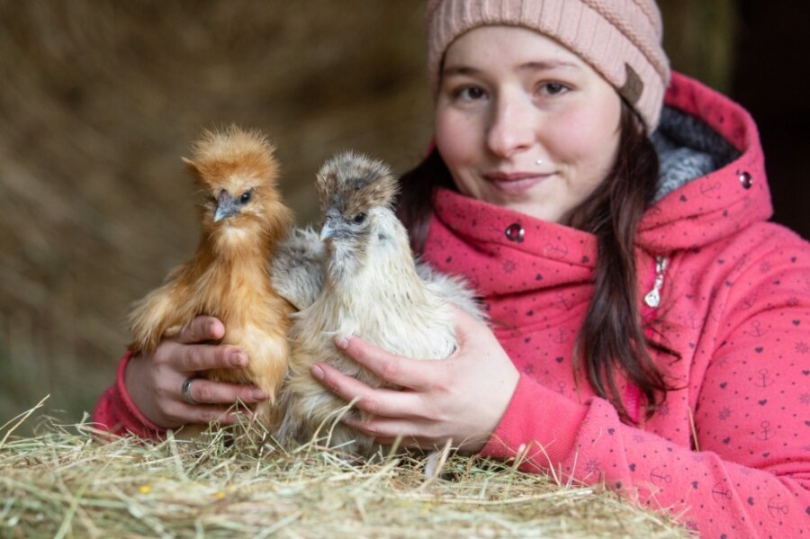 Vogtland-Hühner sind Stars im Internet - Nadine Petukat ist Hühnerzüchterin aus Leidenschaft. Ihr Hühnervolk muss schön bunt sein. Jedes Tier ist für sie einzigartig, wie auch die: Zwergseidenhühner Elsa und Emmchen. 