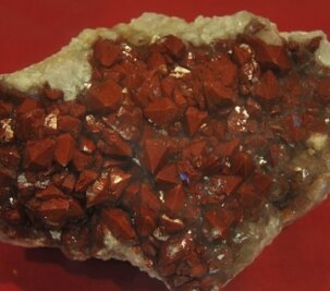 Seltene Mineralien werden auf der Börse gezeigt. So auch etwa der in Kirchberg gefundene Rauchquarz. 