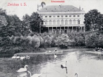 Vom Wasserspeicher zur grünen Idylle - Die Postkarte aus dem Jahr 1919 zeigt eines der wohl bekanntesten Motive des Schwanenteiches mit dem Schwanenschloss. 