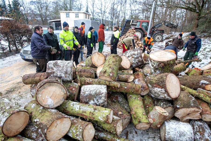 Von Bruchholz zu Brennholz: Hilfsaktion der Plauener Feuerwehren fürs Tierheim - Rund 40 Bäume wurden am Samstag bei der Hilfsaktion der Plauener Feuerwehren zugunsten des Tierheimes als Feuerholz aufgearbeitet.