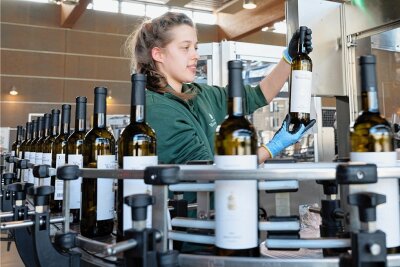 Von Chardonnay bis Traminer: Das sind Sachsens beste Weine - Anna Eichhorn kontrolliert an der Abfüllanlage im Staatsweingut eine Flasche. Der beste Traminer der Region kommt von hier. 