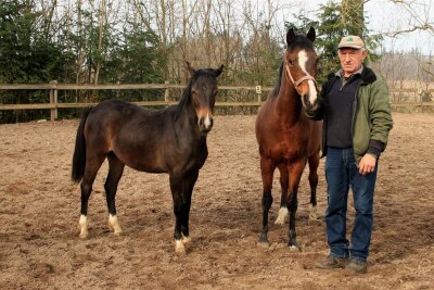 Von ganz klein bis ganz groß: Dieser Landwirt aus dem Vogtland liebt die Extreme - Gunter Haase ist in der Pferdeszene als ausgezeichneter Züchter bekannt.