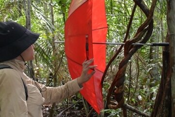 Von Mücken, Käfern und Matschpisten - Der rote Schirm dient dazu, die Anlegestelle wiederzufinden.
