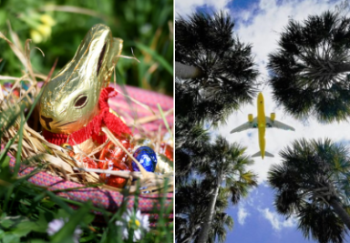Von Schokohase bis Überraschungsurlaub: So groß fallen die Ostergeschenke bei Familien in Mittweida aus - Wie groß darf das Geschenk zu Ostern sein? 