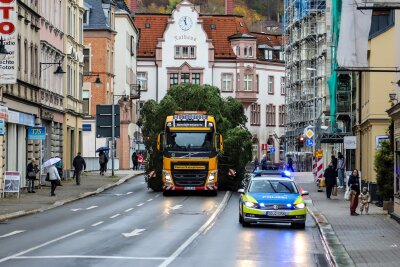 Vorfreude im Erzgebirge: 12 Meter hoch, 1,5 Tonnen schwer - Auer Altmarkt schmückt jetzt ein Weihnachtsbaum - Mit Polizeigeleit ist der Weihnachtsbaum am Montag ins Auer Stadtzentrum gebracht worden.