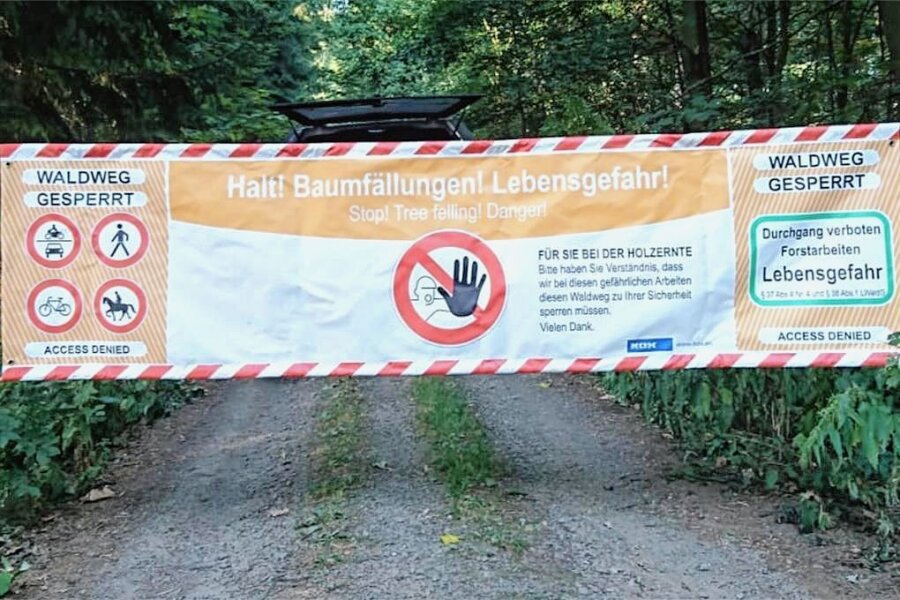 Vorsicht im Stadtwald Freiberg: Viele Wege gesperrt - Im Freiberger Stadtwald finden umfangreiche Arbeiten statt. 