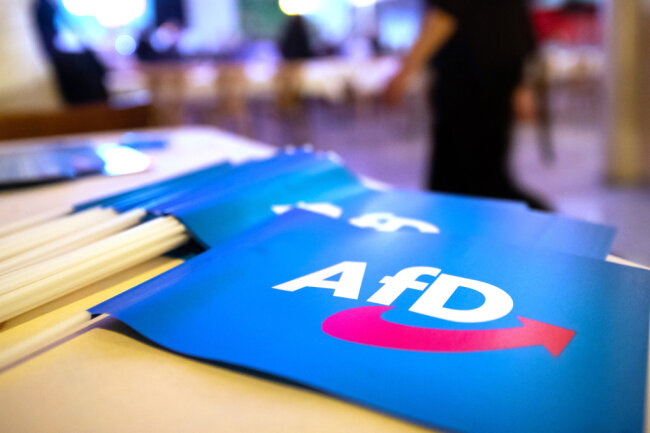 Vorwurf der Radikalisierung: Zwei AfD-Landtagsabgeordnete verlassen Partei und Fraktion - 