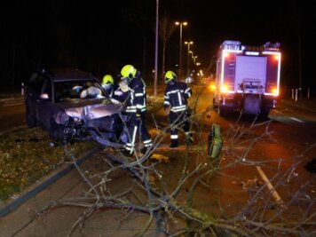 VW fällt Baum auf der Neefestraße - Fahrer schwer verletzt - 