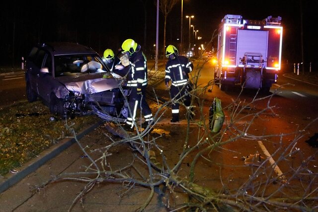 VW fällt Baum auf der Neefestraße - Fahrer schwer verletzt - 