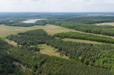 Wälder vor Beginn des Hochsommers gut mit Wasser versorgt - Das Biosphärenreservat Oberlausitzer Heide- und Teichlandschaft (Luftaufnahme mit einer Drohne).