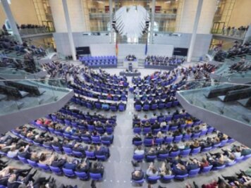 Die Bundesversammlung wird sich in einigen Monaten im Bundestag treffen.