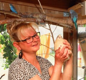 Wahl-Niederalbertsdorferin bringt neue Farbe in den Verein - Jasmin Fülle, zweite Vorsitzende des Vogelzüchtervereins Werdau, hat inihrer Voliere verschiedene rassige Federtiere.