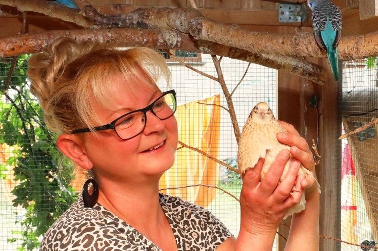 Jasmin Fülle, zweite Vorsitzende des Vogelzüchtervereins Werdau, hat inihrer Voliere verschiedene rassige Federtiere.
