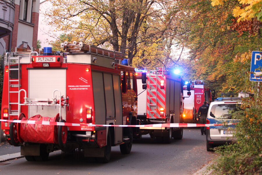Wald gerät im Plauener Stadtteil Preißelpöhl in Brand - 