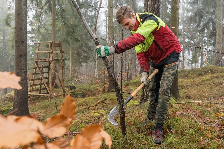 Waldarbeit im Erzgebirge ist trotz vielfältiger Technik immer noch ein Knochenjob: Hier arbeitet Forstwirt Marcel Knüpfer mit einer sogenannten Heppe im Waldteil Börnichen des Forstreviers Borstendorf. 