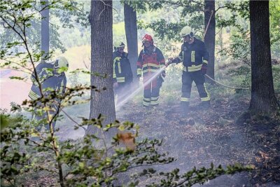 Waldbrand bei Aue: Polizei schließt Brandstiftung aus - Im Wald zwischen Aue und Oberpfannenstiel hat es am Montag gebrannt. Die Polizei schließt Brandstiftung aus. 