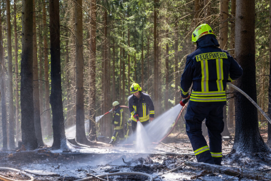 Kameraden der Feuerwehr Falkenstein, Ellefeld, Oberlauterbach sowie zwei Tanker aus Treuen und Schöneck wurden zu einem Waldbrand nahe der Talsperre Falkenstein gerufen